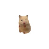 豆友161493645