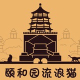 颐和园流浪猫