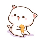 小灰灰的好天气