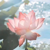 不生气哈😊