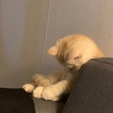 爆裂云朵