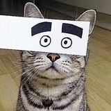 今日微报