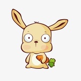 种🌸的🐰