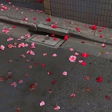 快到周末吧