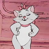 小鱼摸鱼iii