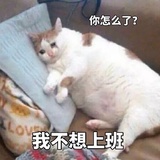 不二斋