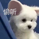 pupupuppy