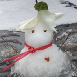未末Juan