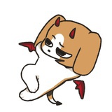 ʕ ᵔᴥᵔ ʔ