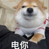 宅小介