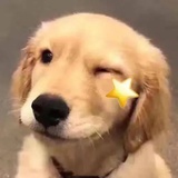 QQQ