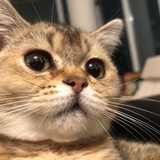 不知名