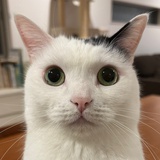 打口青春_Bin