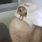 uii