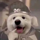 我好厉害的