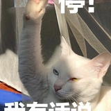 ommo