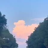 陈曦