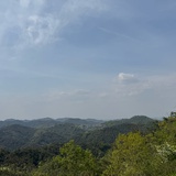 成风