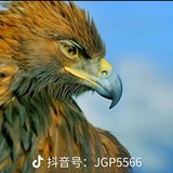 惟华