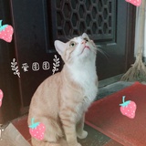 小❤️