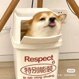 百变洋葱头