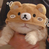 七月猪饲养员