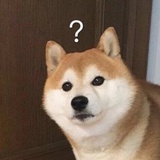 汪汪