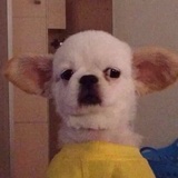 伊二