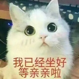 架子