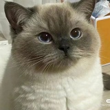 舆论调查方法