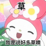 小白哥