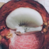 柚子