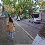 照蓝