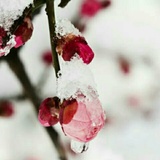 悠悠我心