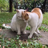 万