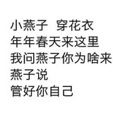 麥兜是塊豬腩肉