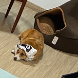 💤