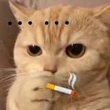 张海市蜃楼