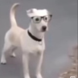 不是你的小熊