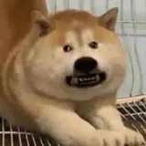 庚丸