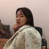 帅气的猫