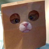 让一切服务生活