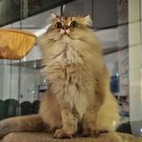 斯巴拉西洲