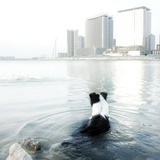 海的尽头是海