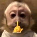 2545869096
