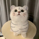 巷子里的猫