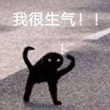 明天想吃蓝莓🫐