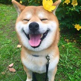萌宠有话说