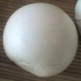 白馍馍儿