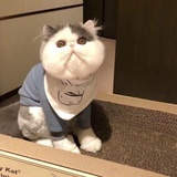 Yaya